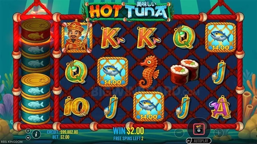 tg77 login Demystifying Casino Bonuses
